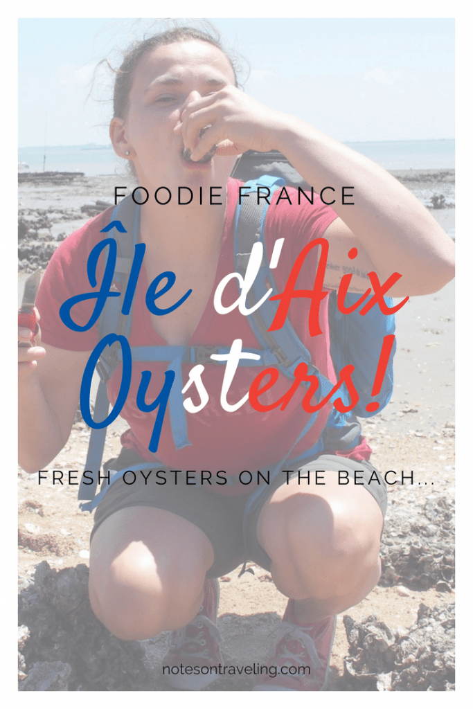 Ile d'Aix oysters are wild oysters growing at the beach of this French island near Île de Rè and Oléron. Go check them out!