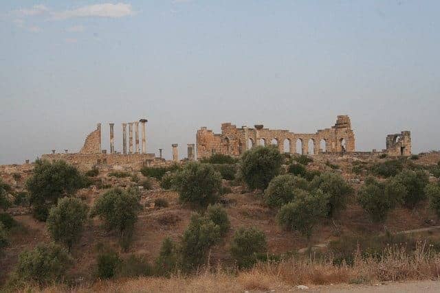 Volubilis Roman ruins, Morocco (2011-11)