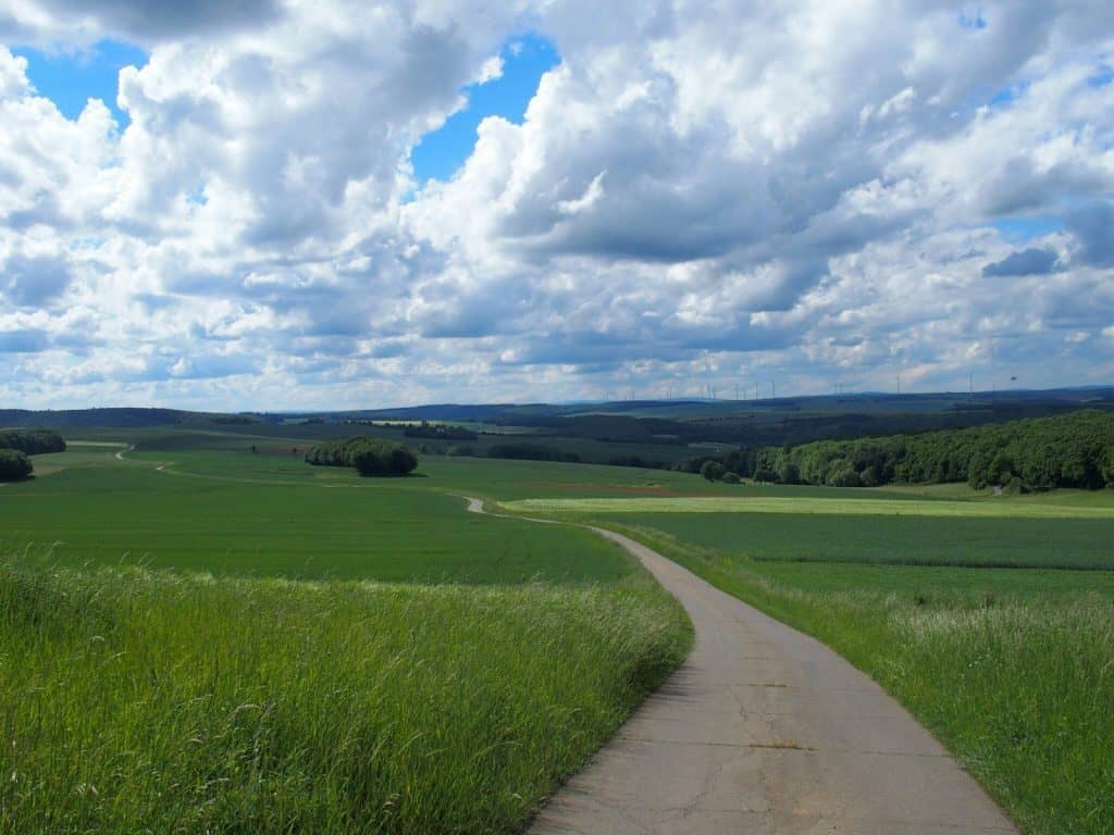 Road through fields to the horizon (2014-05)