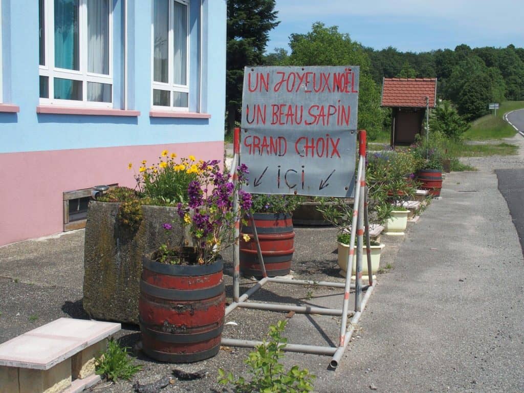 Christmas trees for sale in summer, sign in French, France (2014-06)