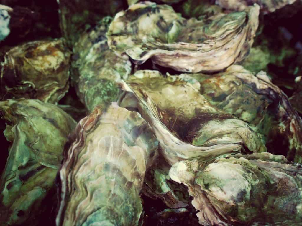 Oysters in La Tremblade, Charente-Maritime, FR (2014-08-22)