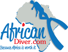 Logo African Diver (2012-12-02)