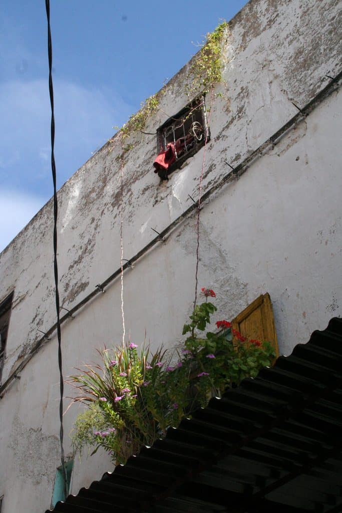 Window in the medina, Fes, Morocco (2011-10)