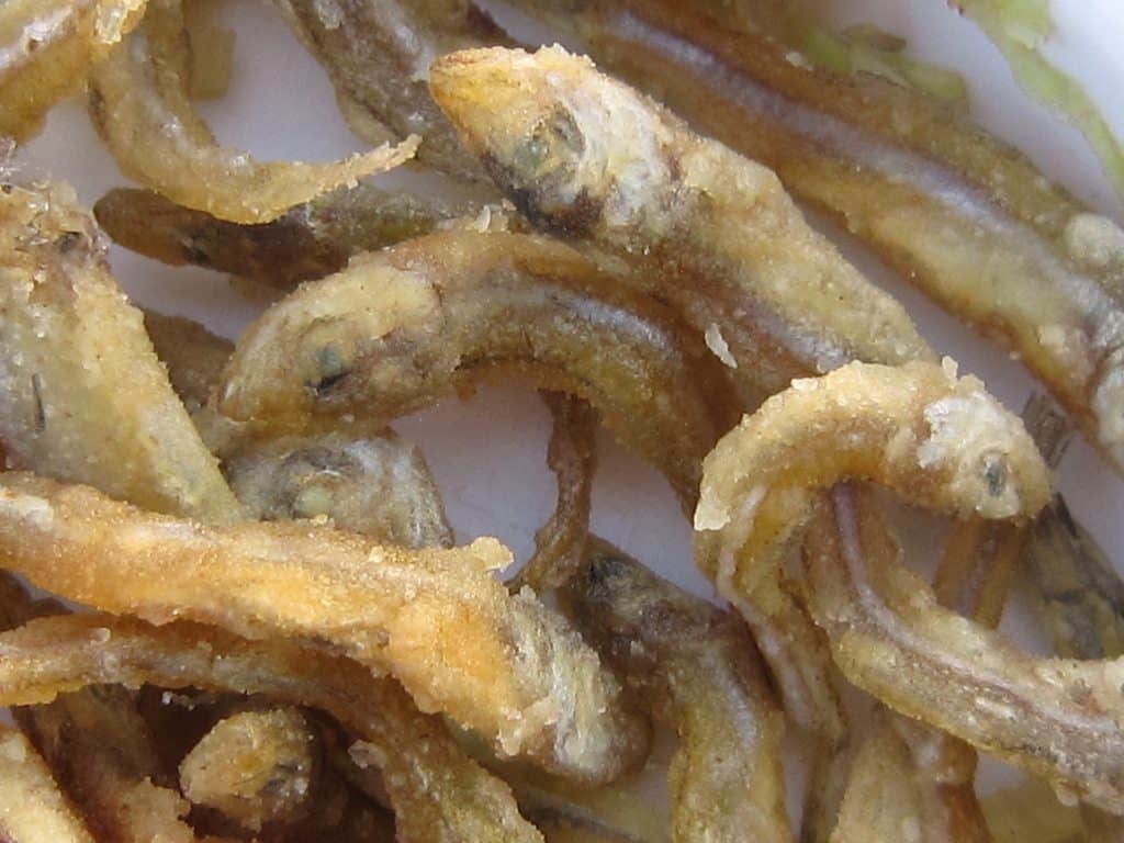 Tiny fried fish snack on Lake Kariba cruise, Zimbabwe (2012-04)