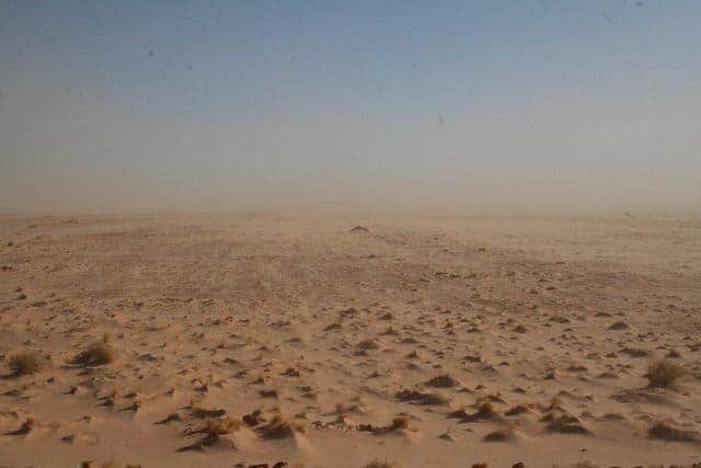 Desert in Mauritania (2011-11)