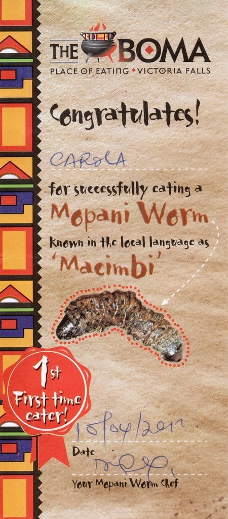 Mopani worm eating certificate, Victoria Falls, Zimbabwe (2012-04)