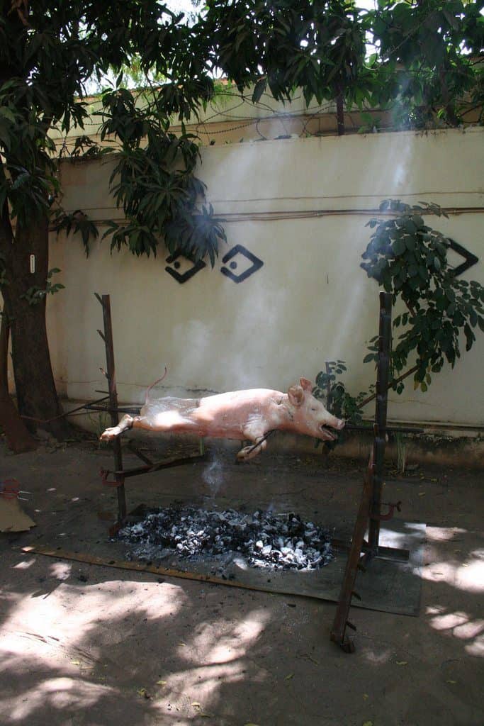 Spit roasting a pig at the Sleeping Camel hostel Bamako, Mali (2011-11)