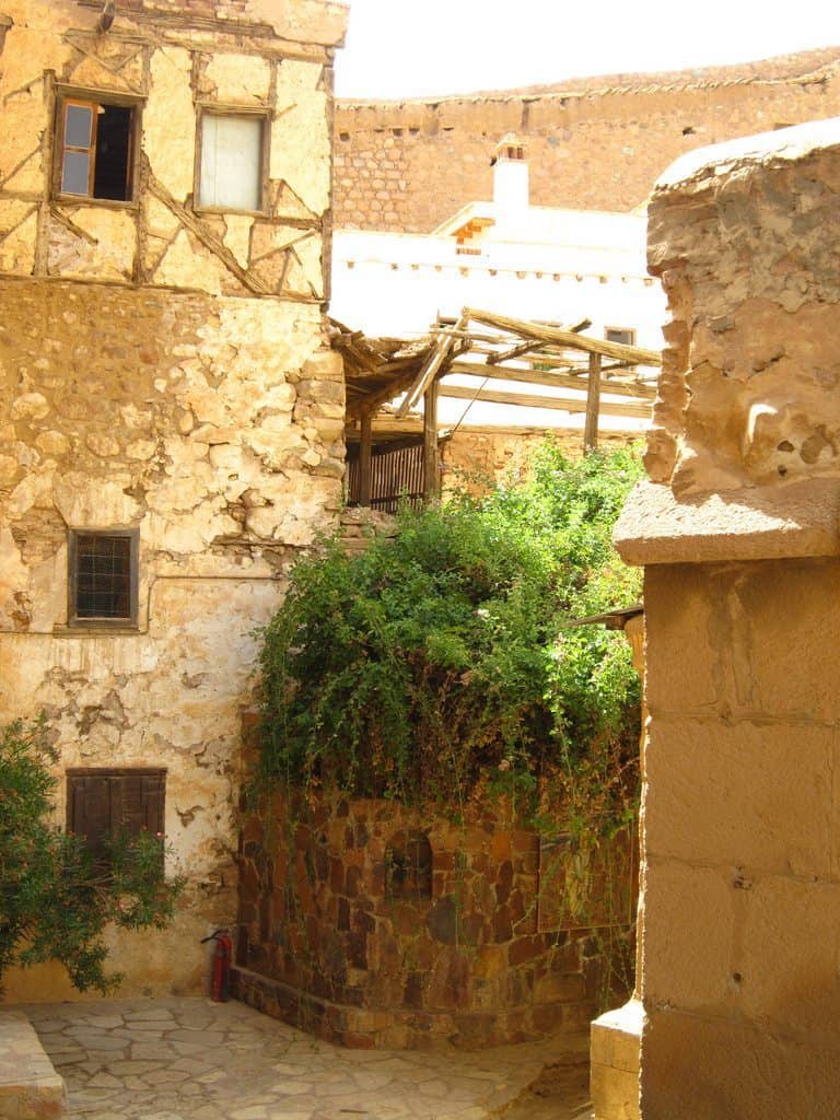 The Burning Bush at St Catherine's monastery, Sinai, Egypt (2012-07)