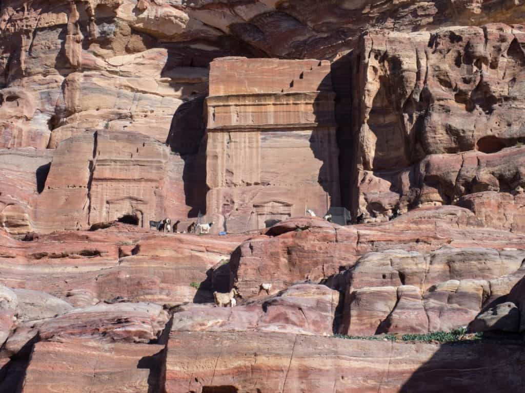 Tombs as goat shelters in Petra, Jordan (2016-12-28)