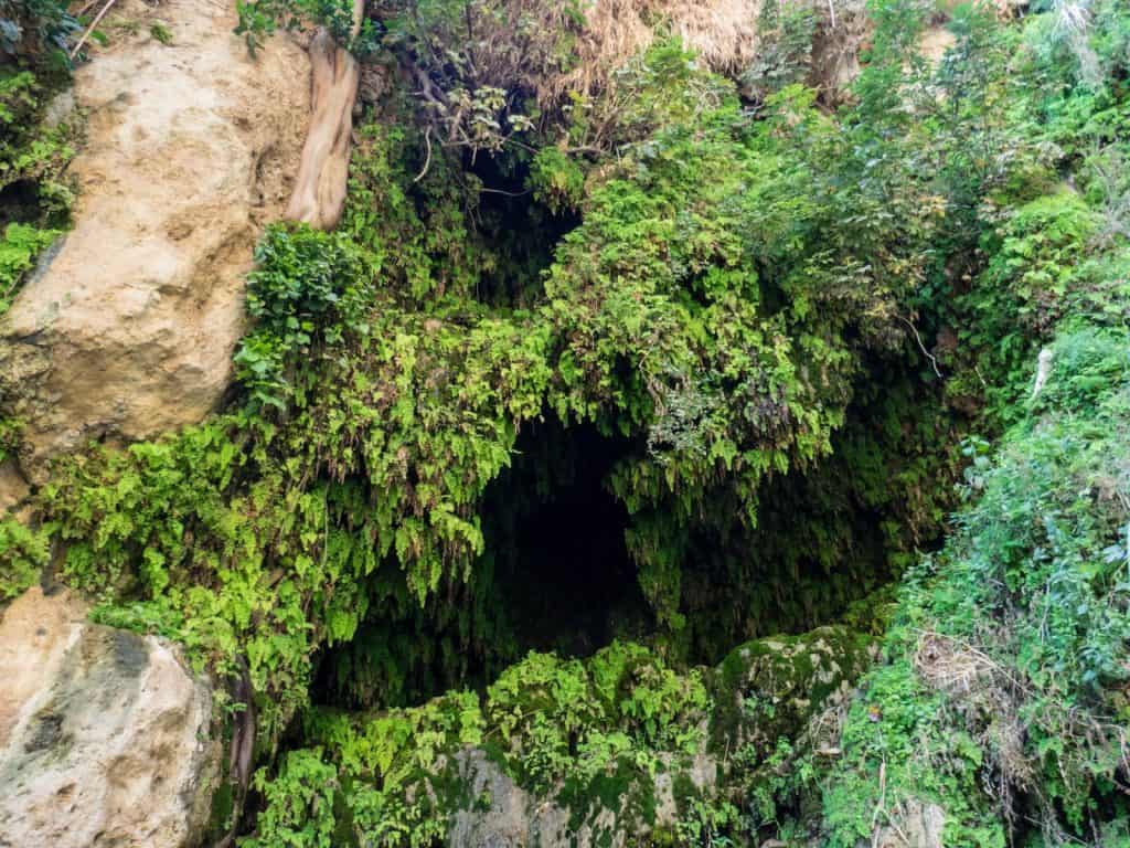 Lush green David's Waterfall in Ein Gedi Nature Reserve, Israel (2017-01-04)