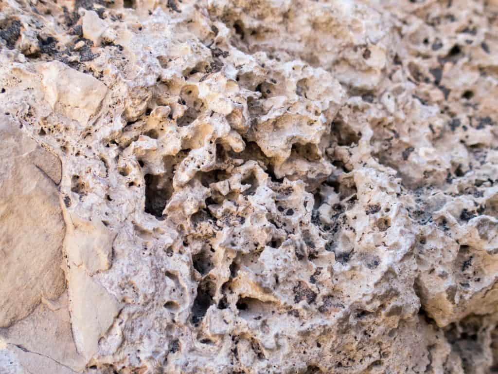 Porous rock at Ein Gedi Nature Reserve,, Israel (2017-01-04)