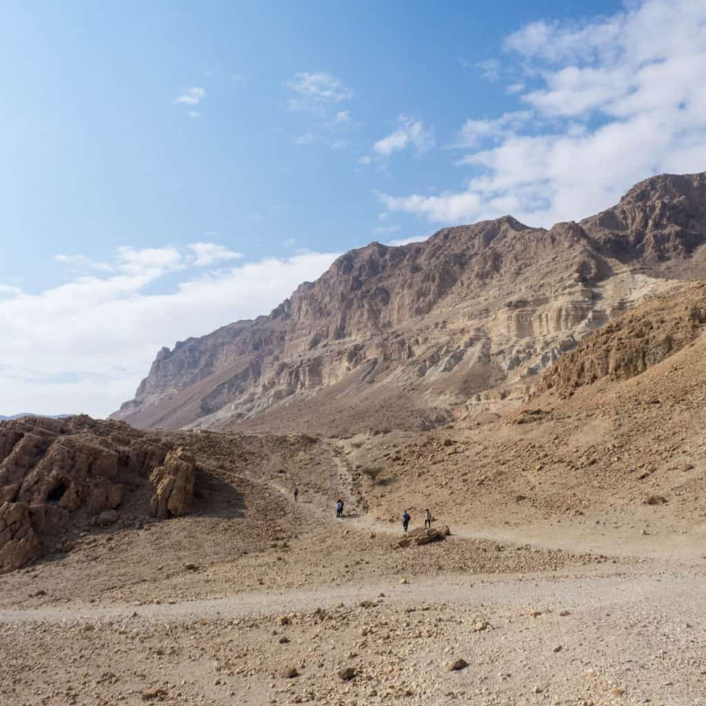 Paths at Ein Gedi Nature Reserve, Israel (2017-01-04)