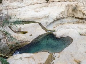 Pools near Dodim Cave in upper David Valley, Ein Gedi Nature Reserve, Israel (2017-01-04)