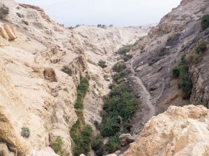 View into David Valley, Ein Gedi Nature Reserve, Israel (2017-01-04)