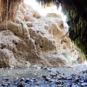 Dodim cave, Ein Gedi Nature Reserve, Israel (2017-01-04)