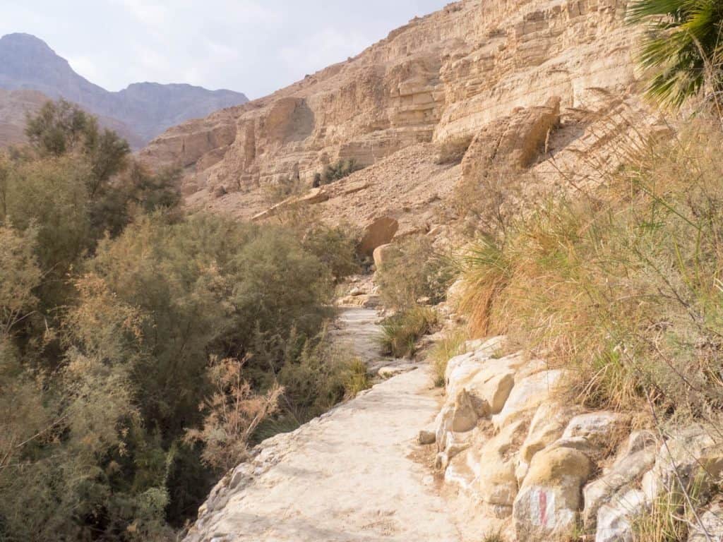 Red path along Arugot Valley, Ein Gedi Nature Reserve, Israel (2017-01-04)