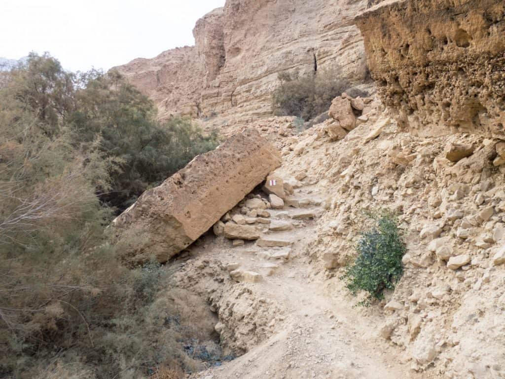 Red path along Arugot Valley, Ein Gedi Nature Reserve, Israel (2017-01-04)