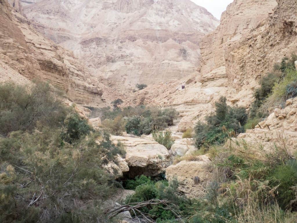 Arugot Valley, Ein Gedi Nature Reserve, Israel (2017-01-04)