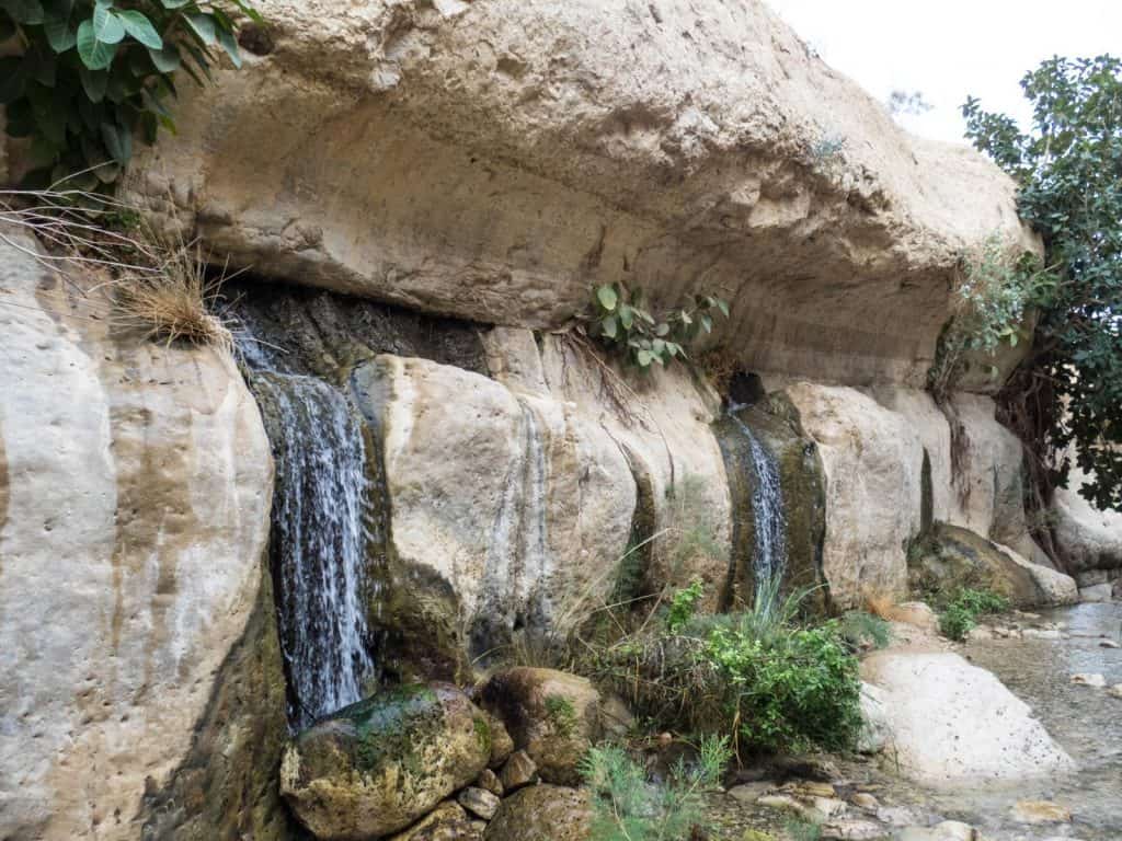 Water from the rock in Arugot Valley Ein Gedi Nature Reserve, Israel (2017-01-04)