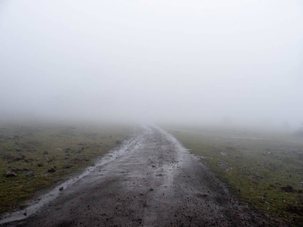 Foggy and rainy hike in Odem Forest, Golan Heights, israel (2017-01-26)