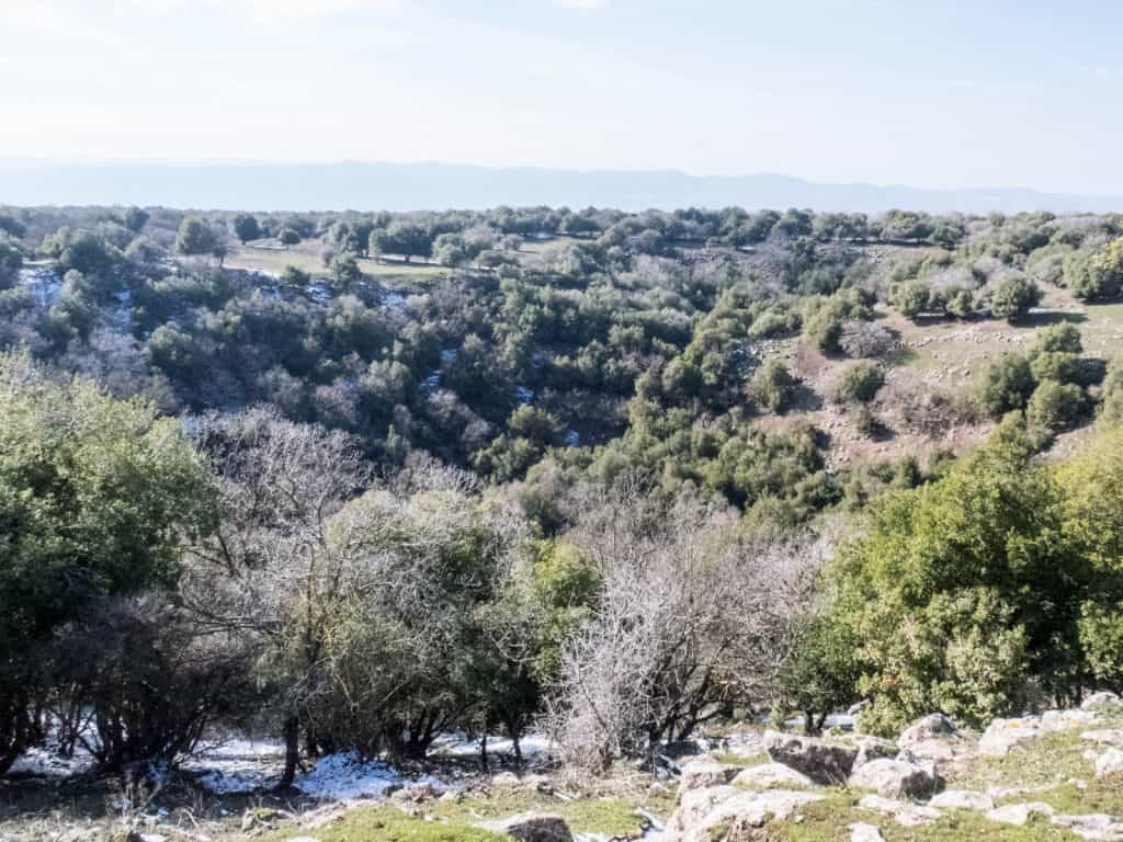 Big Gupt crater, Odem forest, Golan Heights, Israel (2017-01-29)