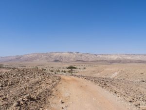 Hiking path towards the only tree in Ramon Crater, Mitspe Ramon, Israel (2017-02-08)