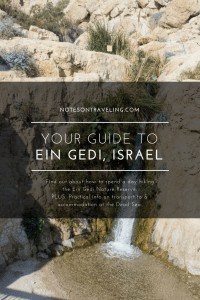 I spontaneously went for a day of hiking in Israels largest oasis, Ein Gedi (aka En Gedi Nature Reserve). See what I saw and start planning your visit.