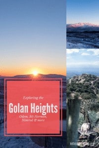 My visit to the Golan Heights: snow, craters, oak forest, and Nimrod Fortress. Incl. practical info on transport and accommodation.