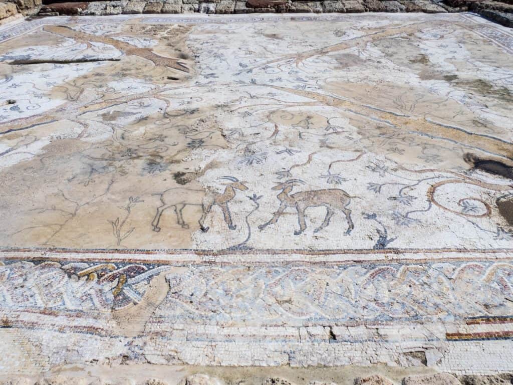 Ibex mosaic, Caesarea, Israel (2017-02-17)