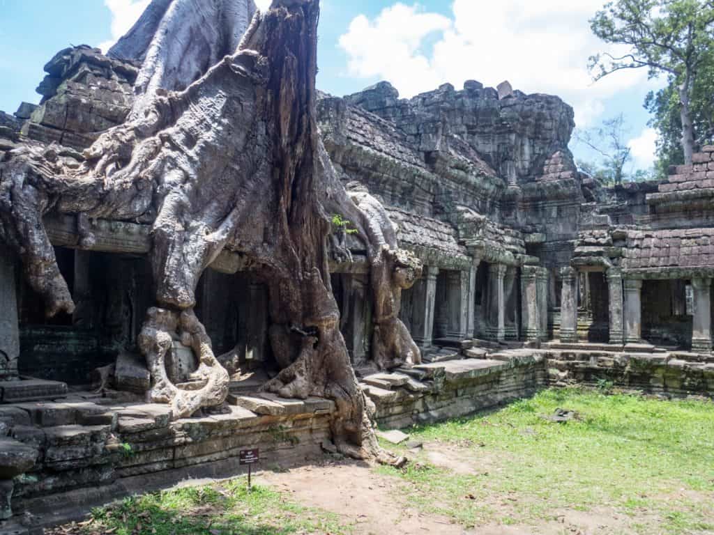 Tree on gallery in Preah Khan temple, Angkor Big Circuit, Siem Reap, Cambodia (2017-04-10)