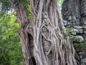 Overgrown gate at Ta Som temple, Angkor Big Circuit, Siem Reap, Cambodia (2017-04-10)