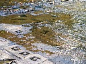 River of 1000 Lingas, Kulen National Park, Siem Reap, Cambodia (2017-04-12)