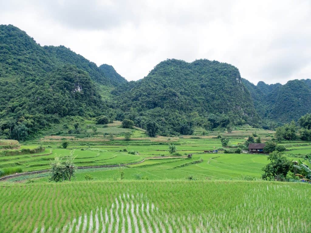 Karstic mountains & rice fields in Northern Vietnam (2017-07)