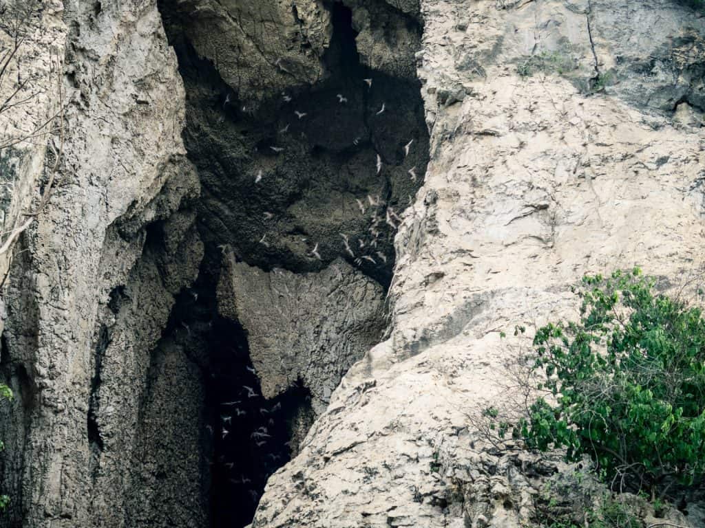 Bat Cave at Phnom Sampov, Battambang, Cambodia (2017-04)