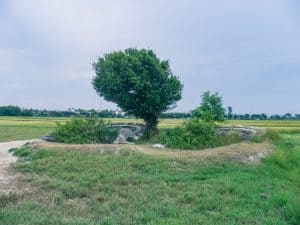 Japanese grave in a rice field, Hoi An, Vietnam (2017-05/06)