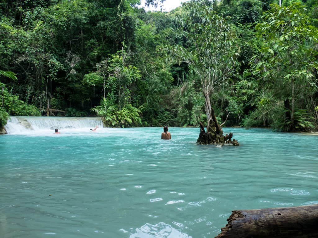 Pool below Kuang Si Waterfall, Luang Prabang, Laos (2017-08)