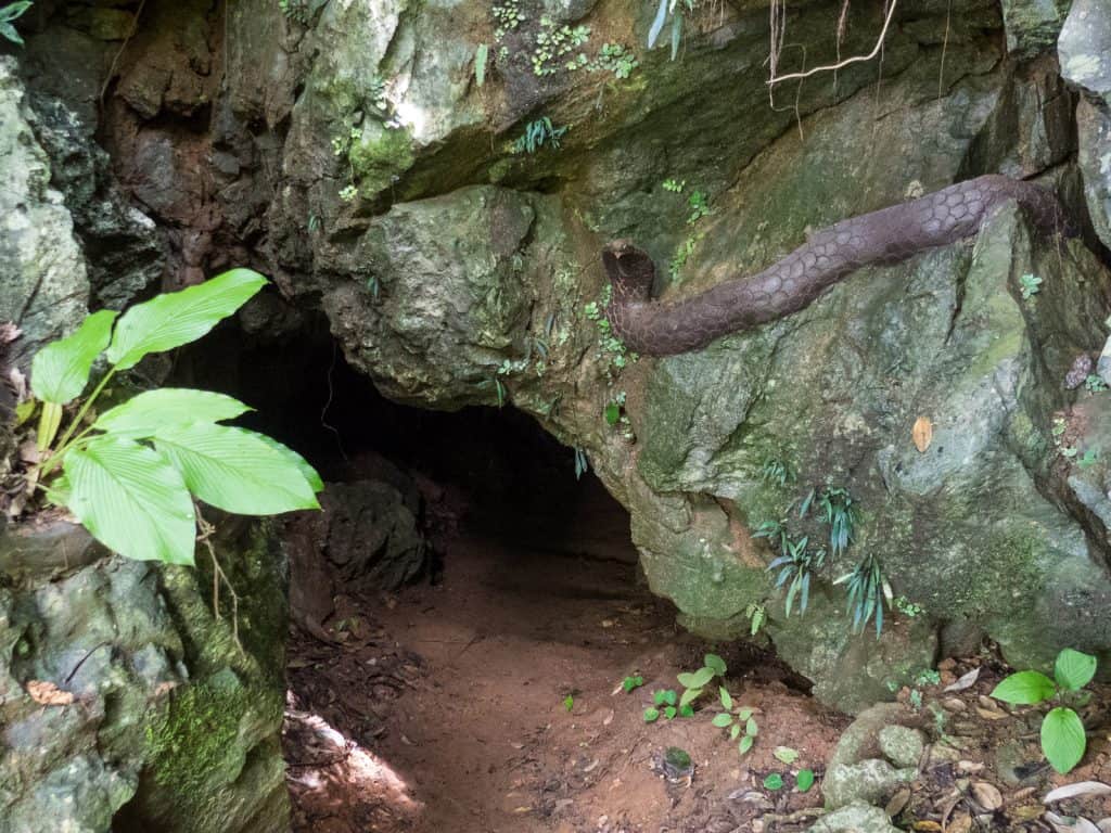 Entrance to Phalaesi Cave, Kuang Si National Park, Luang Prabang, Laos (2017-08)