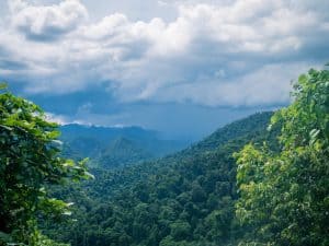 Rain strom over the jungle in Phong Nha-Ke Bang National Park, Vietnam (2017-06)