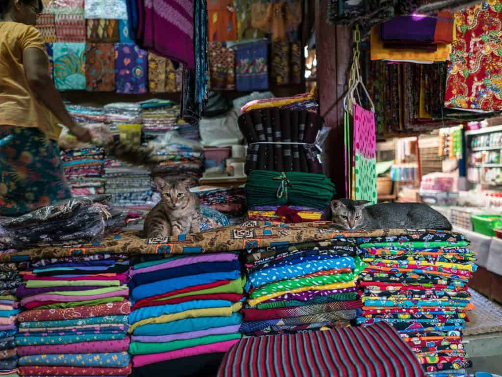 Cats and longyi at Nyaung-U market, Bagan, Myanmar (2017-09)