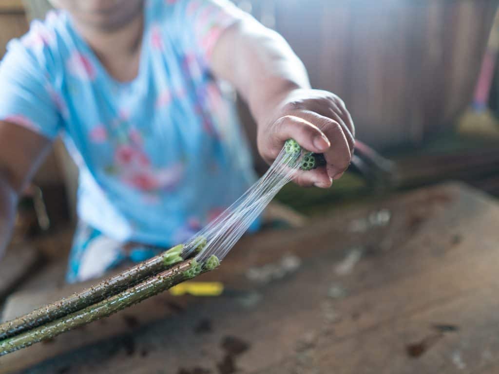 Inle Lake boat tour: Making lotus thread, Myanmar (2017-10)