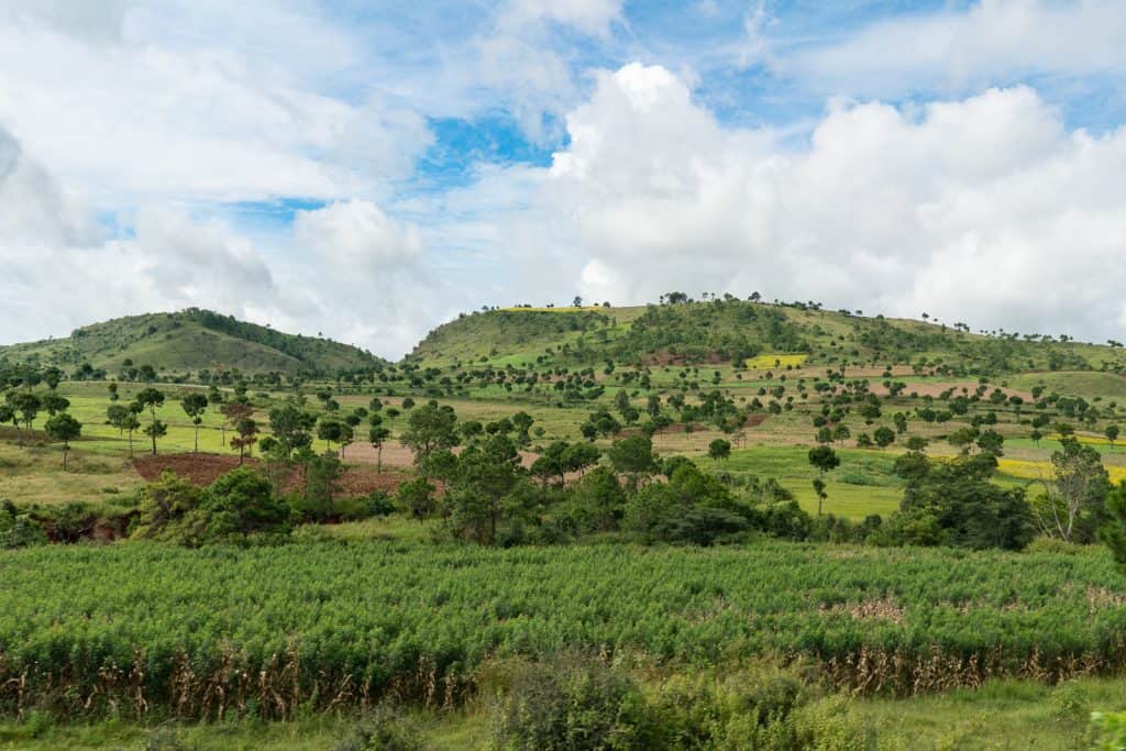 Myanmar train travels: On the slow train Shwenyaung (Inle Lake) to Thazi, Myanmar (2017-10)