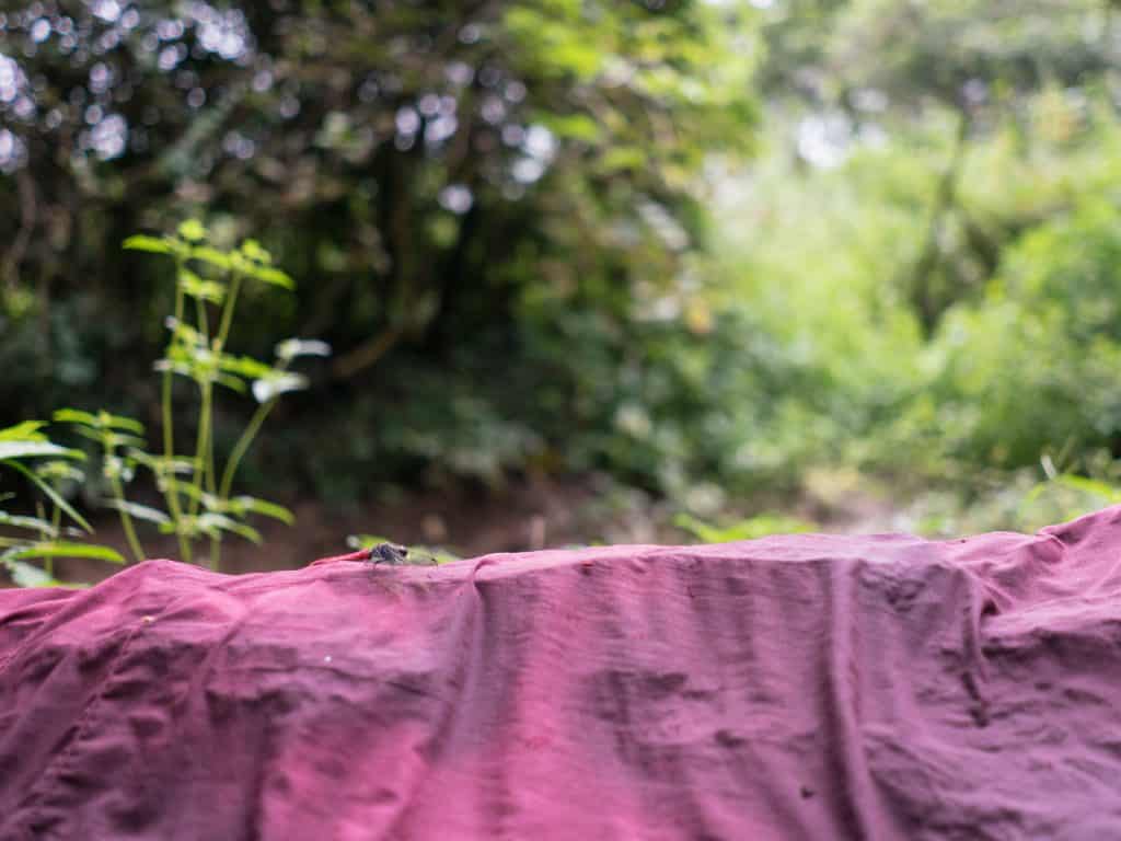 Inle Lake bike tour: Monk's robe with dragonfly by the spring, Myanmar (2017-10)