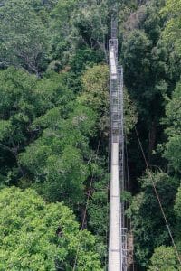 Belalong Canopy Walk in Ulu Temburong National Park, Brunei