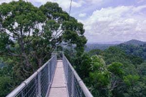 Belalong Canopy Walk in Ulu Temburong National Park, Brunei