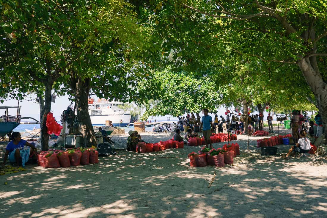 Saturday market sea weed vendors, Beloi, Atauro, East Timor