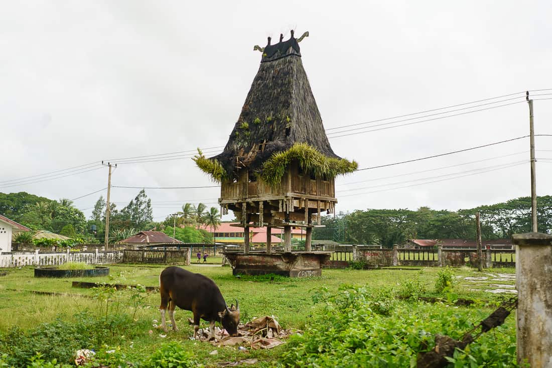 Lospalos tradisional stilted house, East Timor